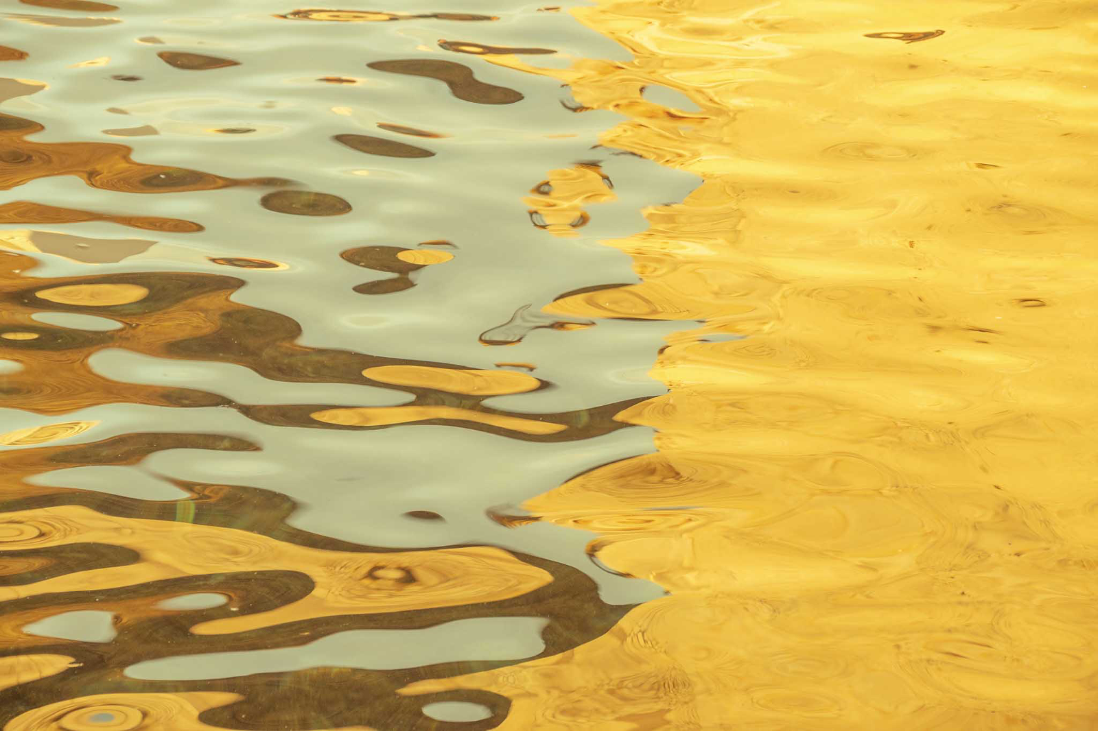 Au large — reflets dorés ondulant sur l'eau