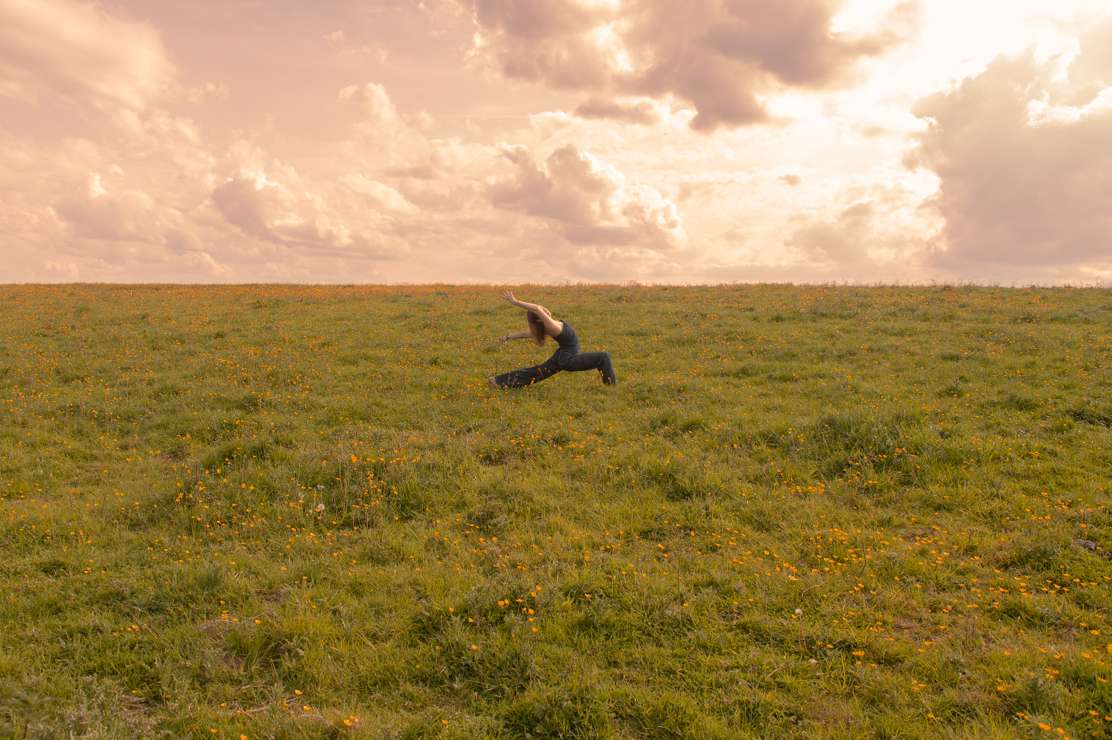 Danser avec les fleurs — danseuse dans un champ de fleurs au coucher de soleil
