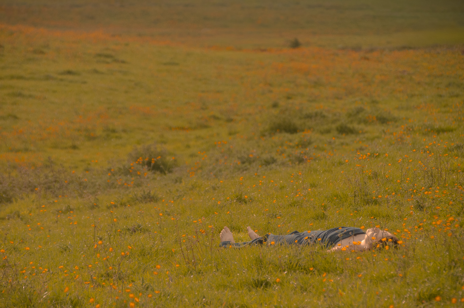Allongée dans les fleurs, repos