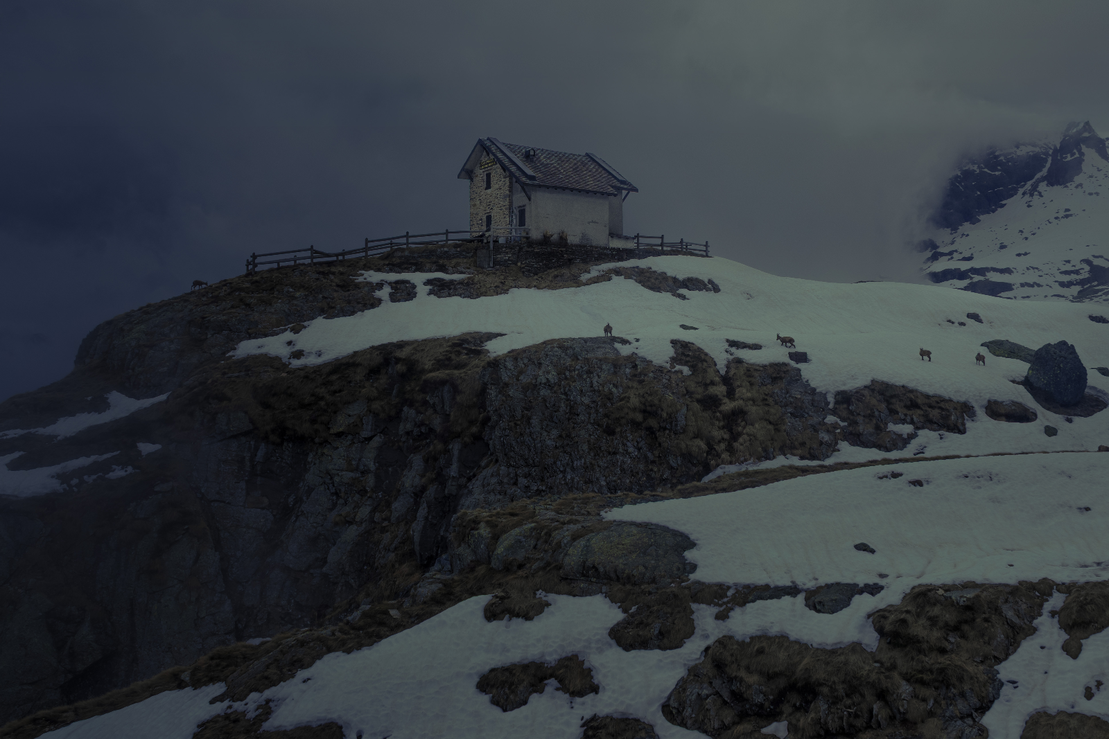 Pêle-mêle — refuge sur un éperon enneigé, chamois dans la brume